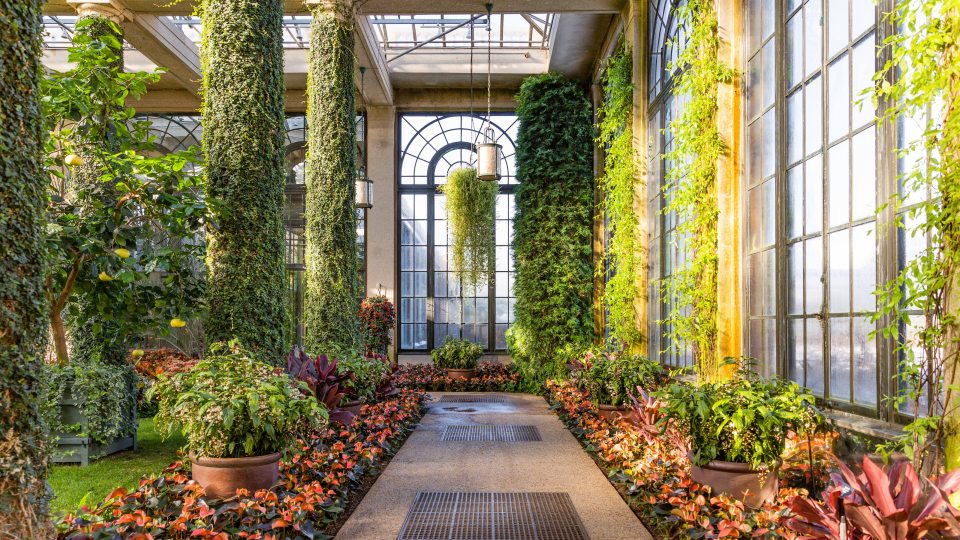 Longwood Gardens Plans Cosmic Theme for Its 2026 Christmas Display